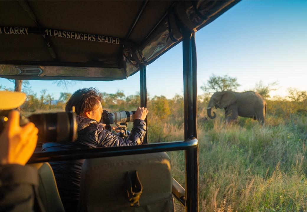 南アフリカ サファリ